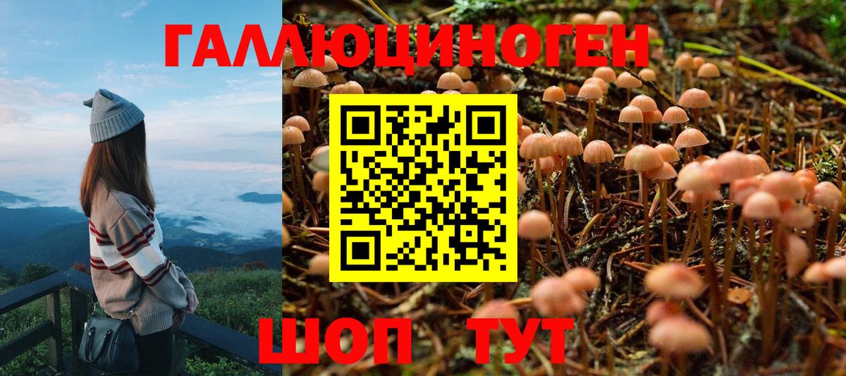 Псилоцибиновые грибы Psilocybe Троицк