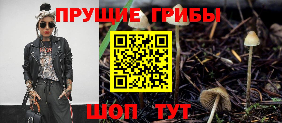Галлюциногенные грибы GOLDEN TEACHER  Вход с VPN  Галлюциногенные грибы Magic Shrooms  Троицк 